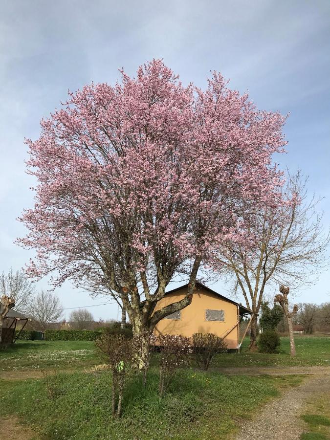 Saint-Julien-de-Lampon Le Mondou מראה חיצוני תמונה